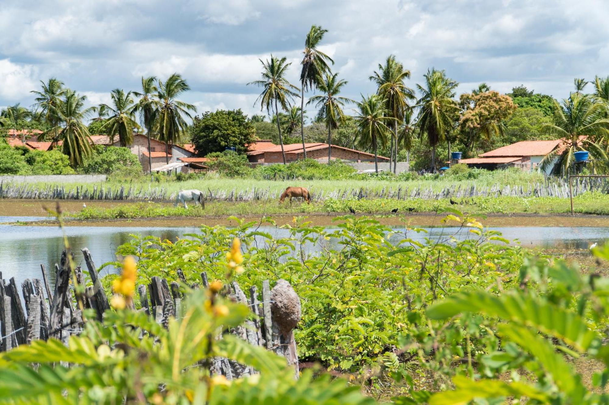 Vila Do Junco Santo Amaro do Maranhao Екстер'єр фото